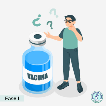 Fase 1 del desarrollo de vacunas