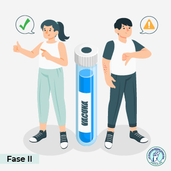 Fase 2 del desarrollo de vacunas