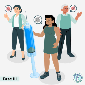 Fase 3 del desarrollo de vacunas