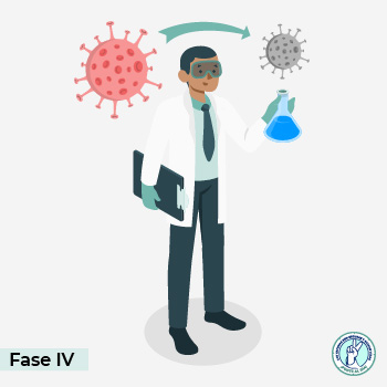 Fase 4 del desarrollo de vacunas