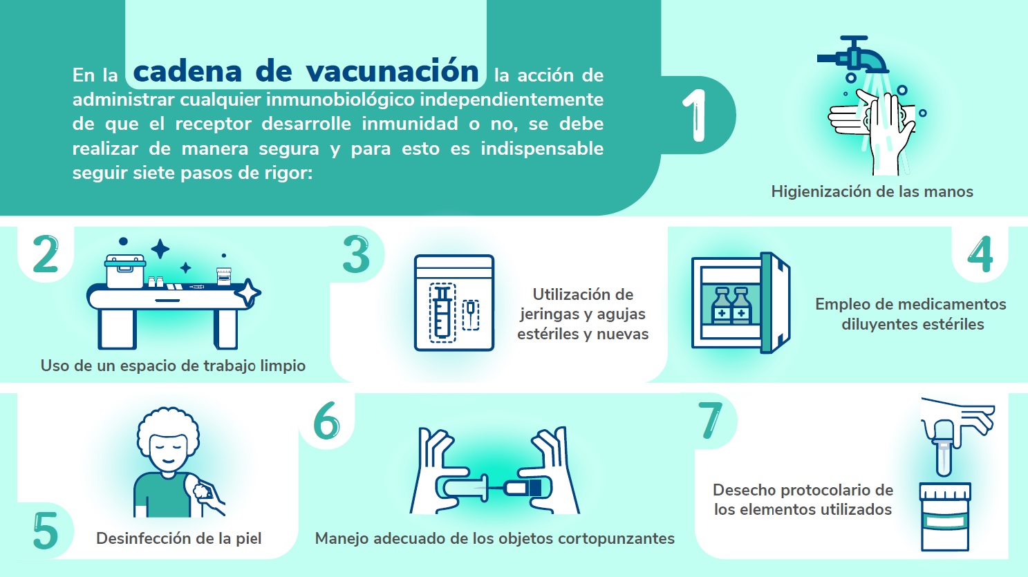infografia-cadena-de-vacunacion.jpg
