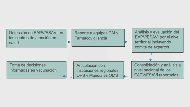 Esquema que explica la secuencia o pasos para hacer un reporte ESAVI